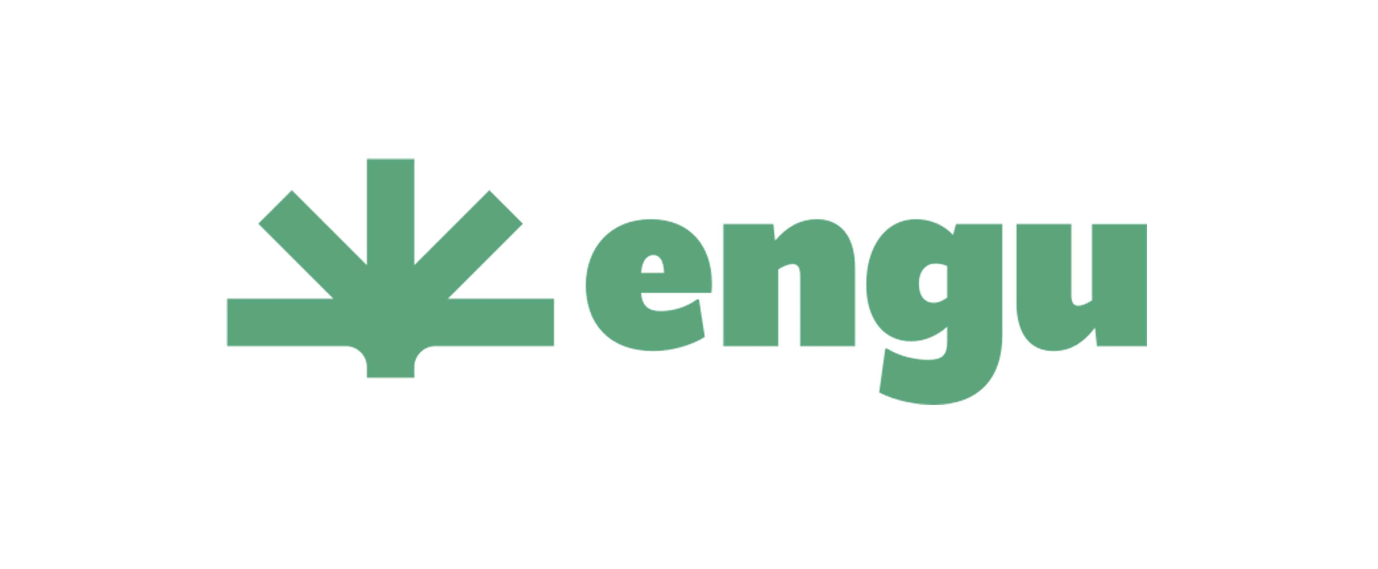 ENGU - BOHEMIA INTERACTIVE a.s.